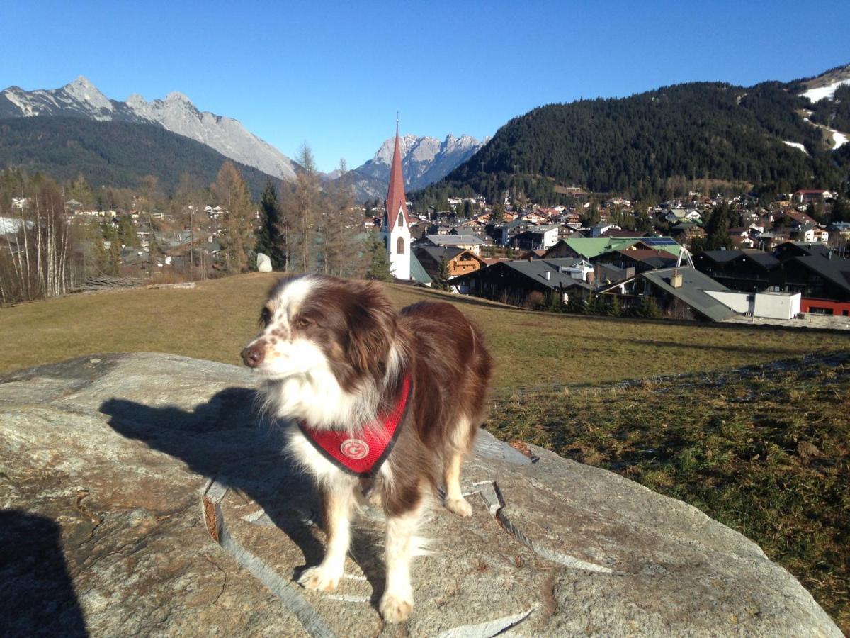 Fewo Lebensfreude Mittenwald Exteriör bild