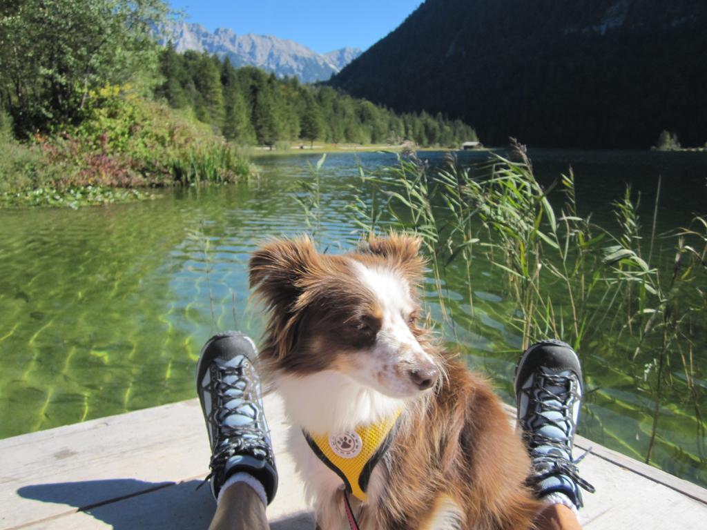 Fewo Lebensfreude Mittenwald Rum bild