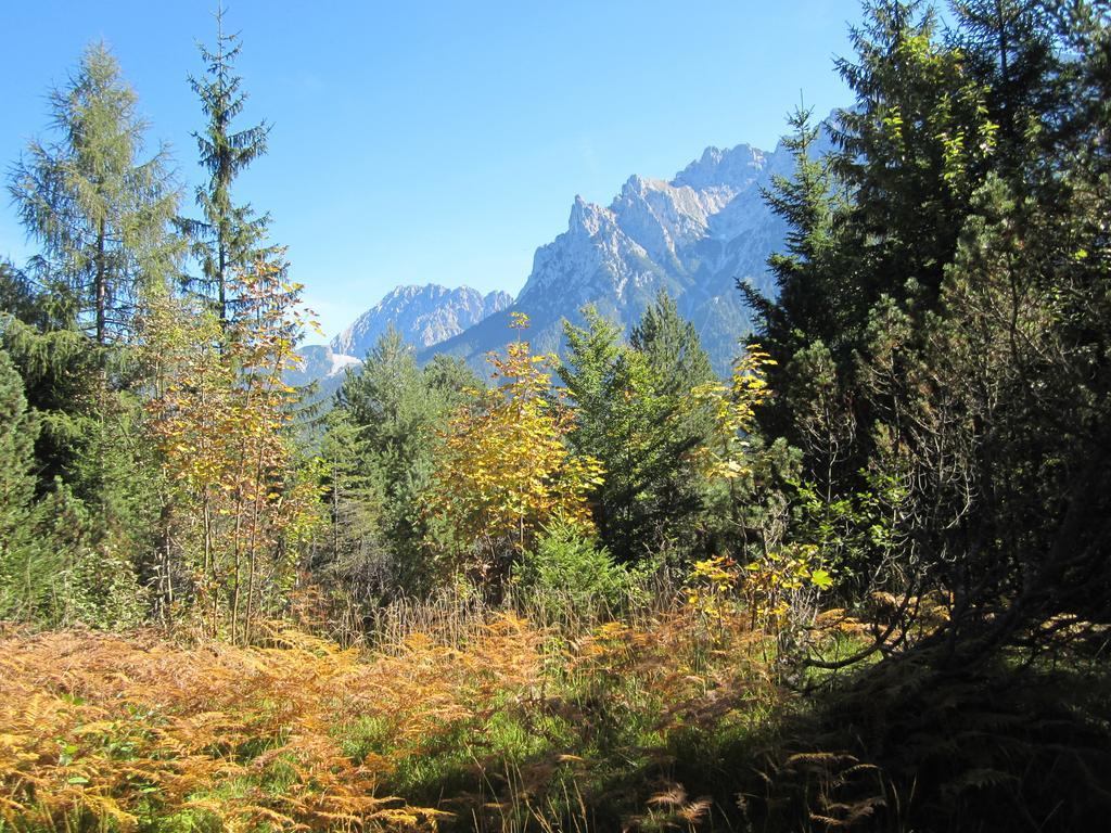 Fewo Lebensfreude Mittenwald Rum bild